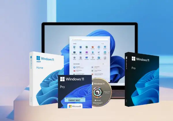 Blue windows 11 software boxes and cd for home and pro editions.